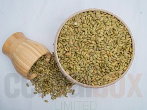 salted-roasted-pumpkin-seeds100gm