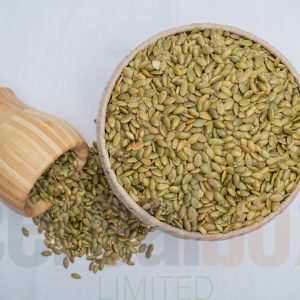 Salted Roasted Pumpkin Seeds