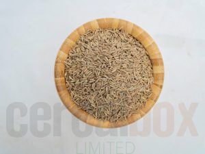cumin-seeds