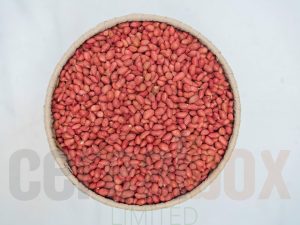 raw-red-small-peanuts