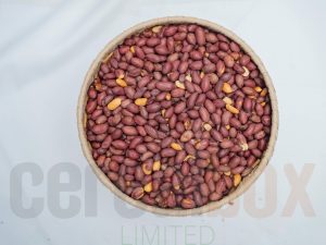 roasted-salted-big-red-peanuts