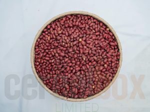 salted-small-red-peanuts
