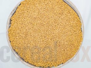 fenugreek-seeds