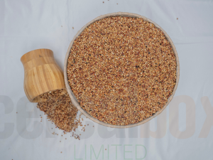 white-and-red-sorghum-seeds